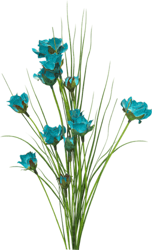 Flores - nemokama png