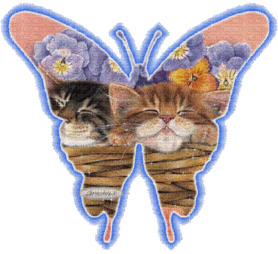 les chats........les papillons et pis quoi encore - Ingyenes animált GIF