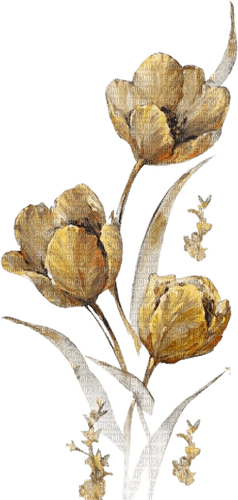 kikkapink gold flowers - PNG gratuit