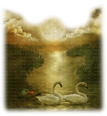 Kaz_Creations Deco Animals Animal Birds Swans Paysage Scenery - δωρεάν png
