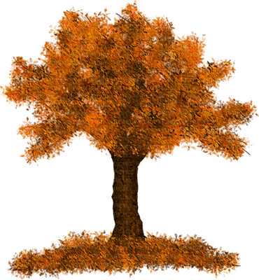 autumn-tree-träd-minou52 - ücretsiz png