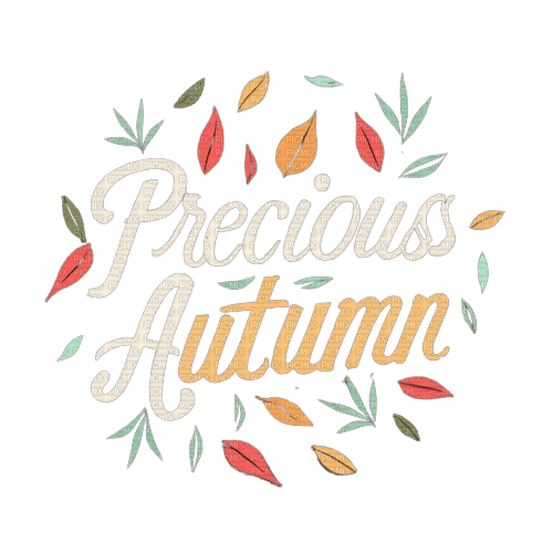 precious autumn - 免费PNG