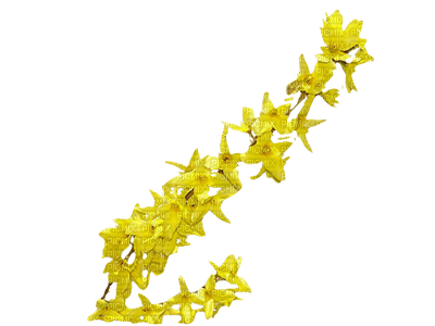 spring blooming branch - png gratuito