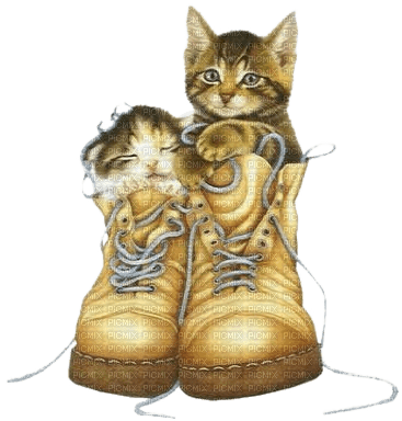 Katzen, Stiefel - kostenlos png