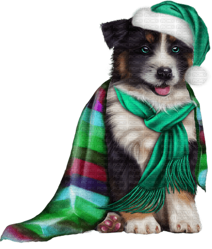 loly33 chien noël - Free PNG