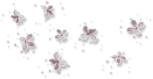 White soft flowers overlay [Basilslament] - zdarma png