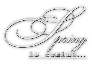 soave text spring is coming white - безплатен png
