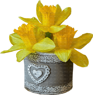 daffodils Bb2 - png ฟรี