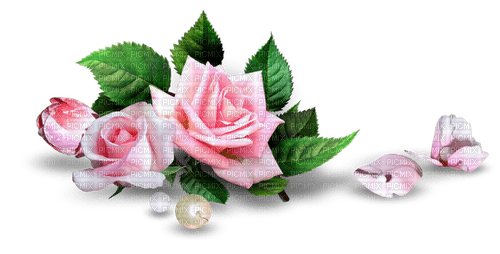 Deco Pink Rose - zdarma png