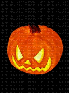 pumpkin - Zdarma animovaný GIF