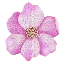 fore rosa - Free PNG