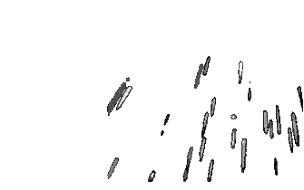 fet noir black blanc White, stefstamp , feu , artifice , firework - Free animated  GIF - PicMix