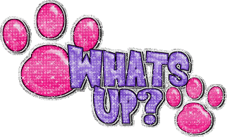 whats up glitter text - Zdarma animovaný GIF