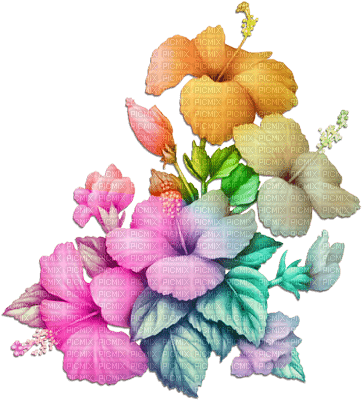 soave deco flowers summer tropical branch rainbow - ilmainen png