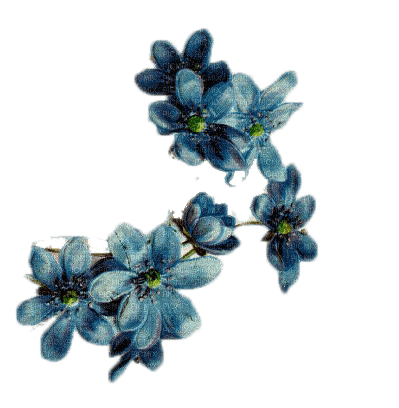 kikkapink spring blue deco flowers vintage - darmowe png
