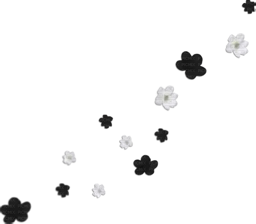 White black flowers deco [Basilslament] - darmowe png