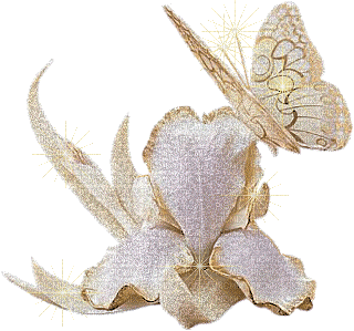 orchids white bp - Бесплатный анимированный гифка