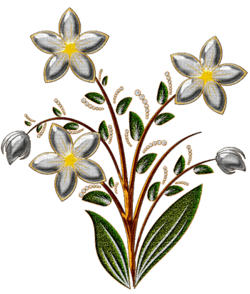 dekor virág - 免费PNG