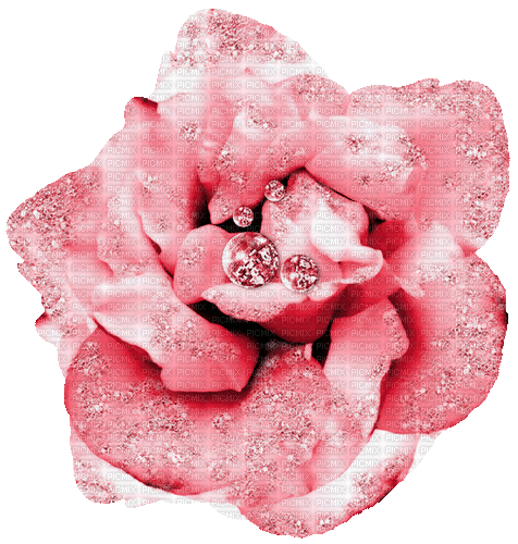Animated.Glitter.Rose.Pink - By KittyKatLuv65 - Zdarma animovaný GIF