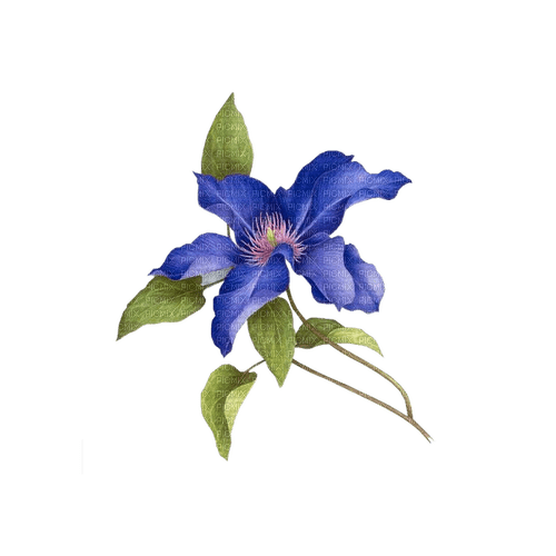 kikkapink deco scrap blue vintage flower - kostenlos png