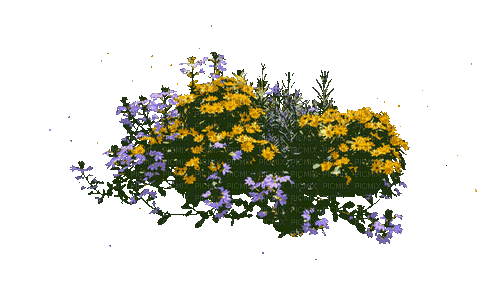 цветы - Kostenlose animierte GIFs