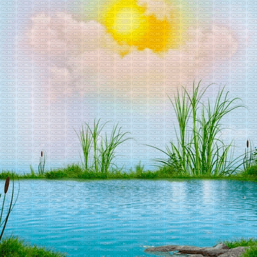 summer background by nataliplus - zadarmo png