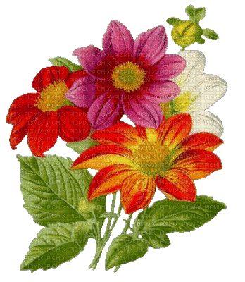 Kaz_Creations Deco Flowers Flower Colours Animated - Free animated GIF