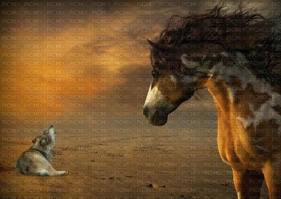 fond horse. horses bp - 免费PNG