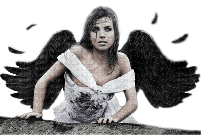 dark angel by nataliplus - ücretsiz png