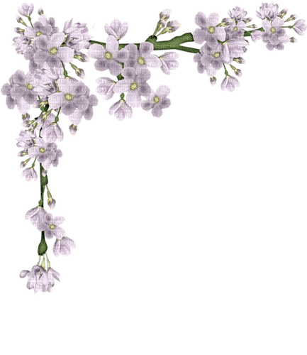marco flores  dubravka4 - png ฟรี