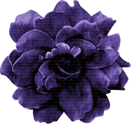 kikkapink purple flower deco - PNG gratuit