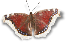 soave deco butterfly scrap brown - 無料png