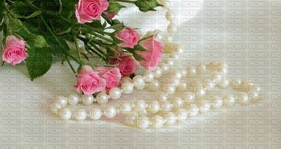 PEARLS - Free PNG