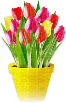 soave deco flowers vase garden tulips  spring - PNG gratuit