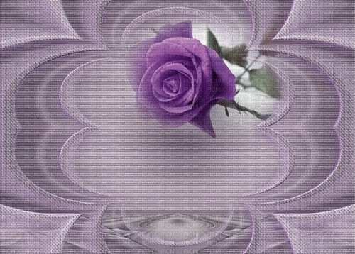 bg--background--rose--ros--purple--lila - Free PNG