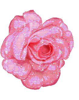 pink rose - Ingyenes animált GIF