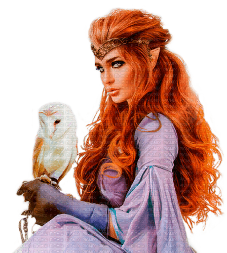 fantasy woman with owl by nataliplus - ilmainen png