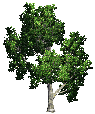 treeGS - Gratis geanimeerde GIF