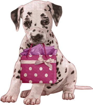 Kaz_Creations Dog Pup Dogs 🐶 - PNG gratuit