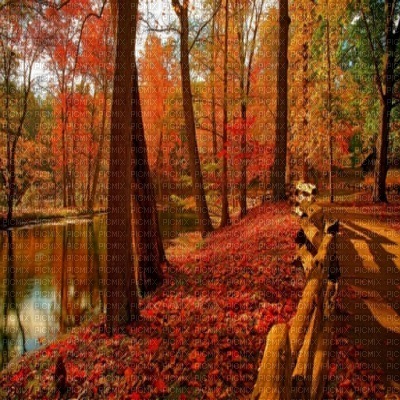 Kaz_Creations Backgrounds Background Autumn - darmowe png