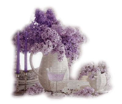 lilas. - ilmainen png