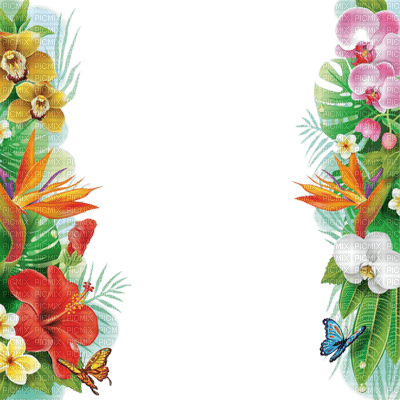 frame flowers - 免费PNG