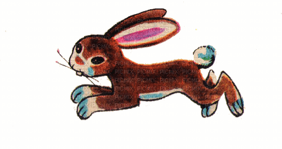 hase conejo - 免费PNG