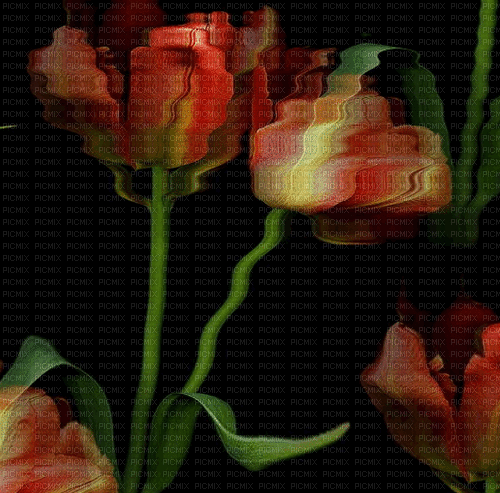 fond de fleurs, sans couture.GIF, Pelageya - 免费动画 GIF