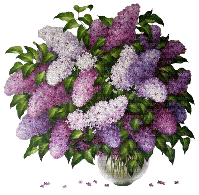 minou-flowers-purple - Free PNG