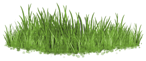 bush grass green deco - фрее пнг