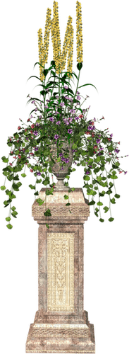 Bloemen en planten - png gratis