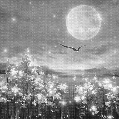 Y.A.M._Landscape background black-white - Ingyenes animált GIF