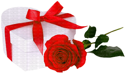 Heart.Box.Rose.Red.White - Free PNG