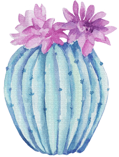 watercolor cactus Bb2 - Free PNG